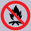 prohibition-no-campfire~